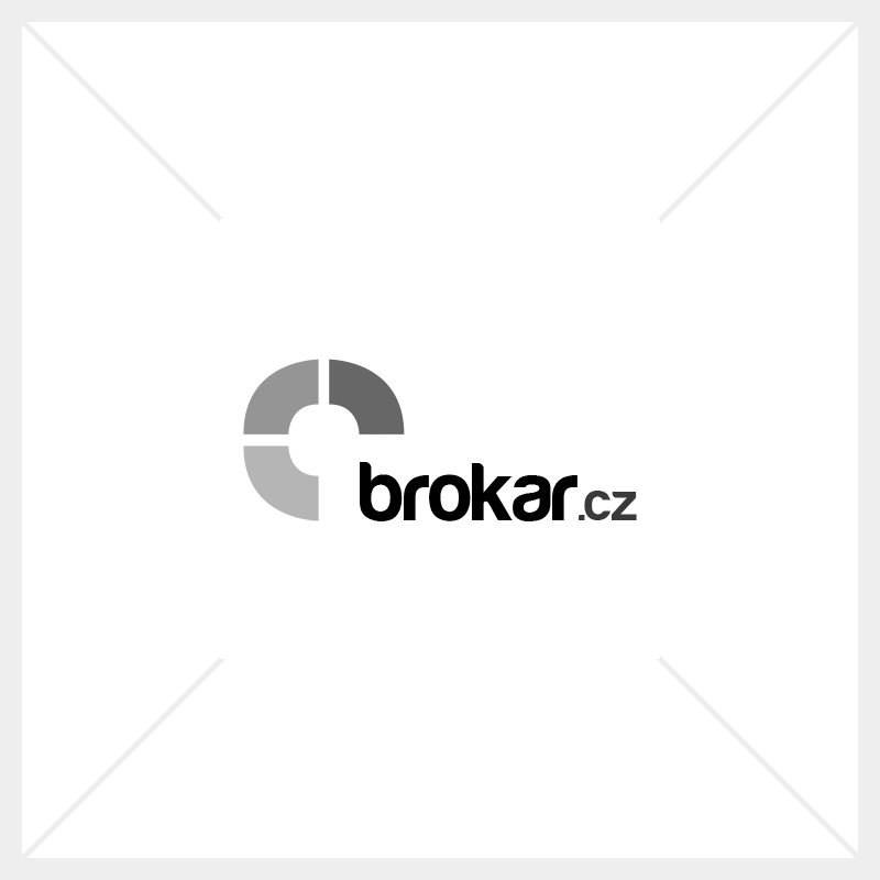 Zástupný symbol